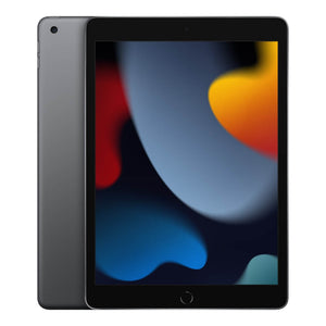 Apple iPad 9th Gen 2021 4G 256GB